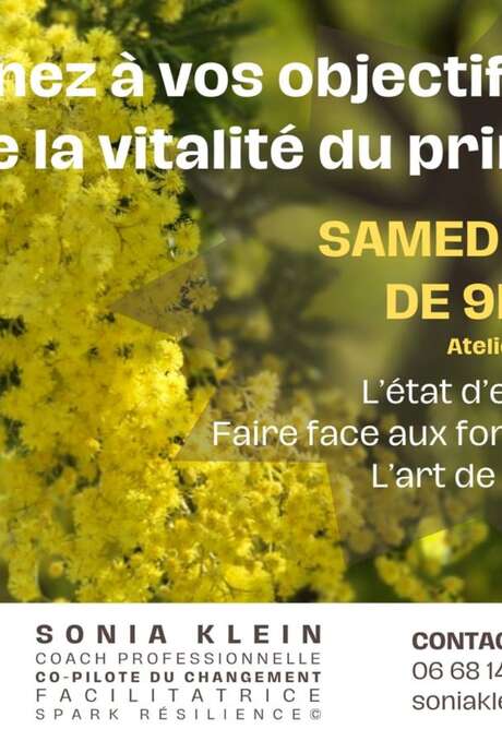 Atelier coaching, printemps 2025