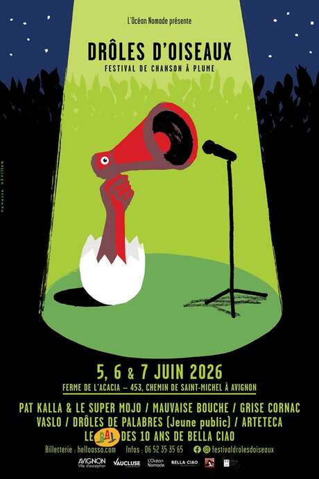 Drôles d'oiseaux – festival de chanson à plume