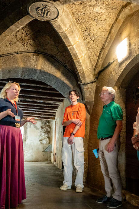Complet : Visite guidée - Chambéry, patrimoine & dégustation de vins