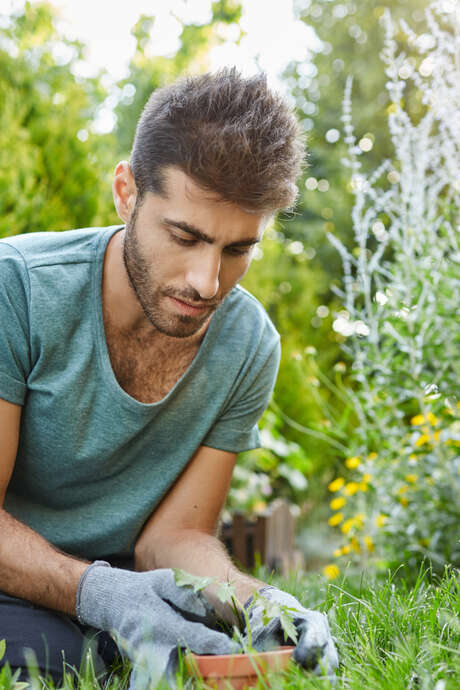 Balade thématique sur les plantes sauvages