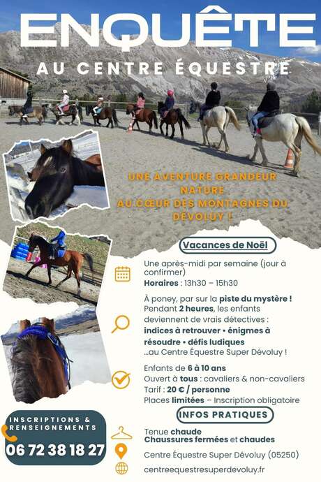 Investigation at the equestrian center