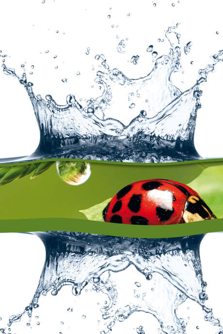 Exposition : L'eau H2O