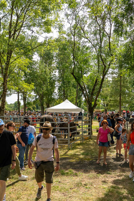 Rurality Festival