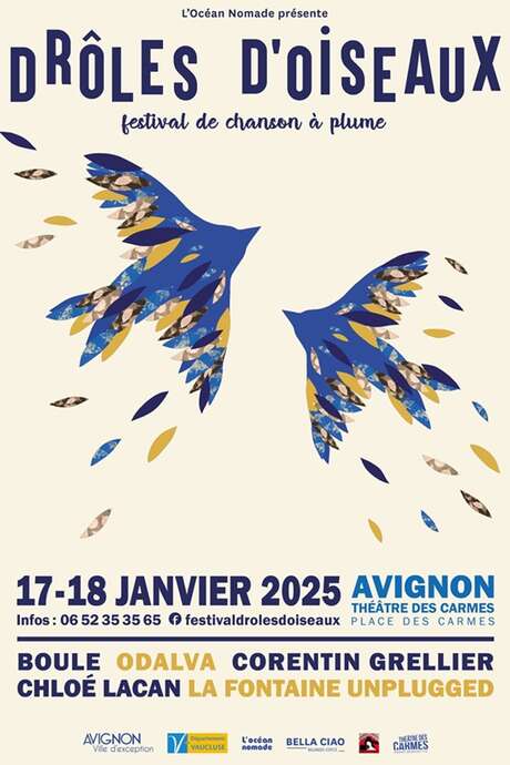 Festival Drôles d'oiseaux