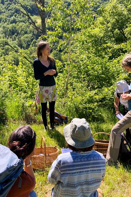 Balade botanique : Des sauvageonnes dans mon jardin !
