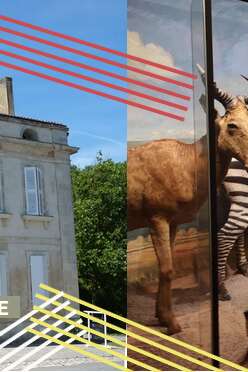 European Heritage Days: national museums on the island of Aix