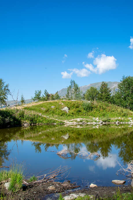 Tout baigne au lac ?