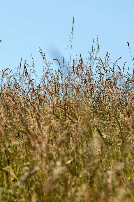 Prenez la clé des champs, les fermes s'ouvrent !