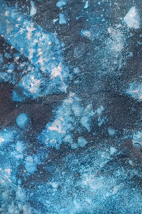 Exposition "IN SITU"