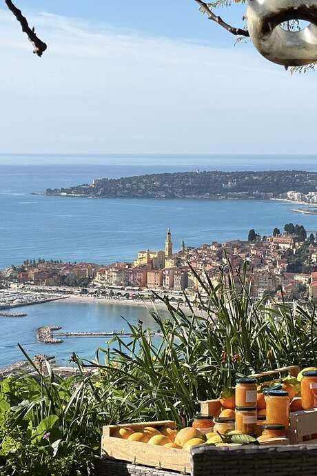 Sophie Petru - Ausflug zum Zitrusfruchtgut und Wassererbe