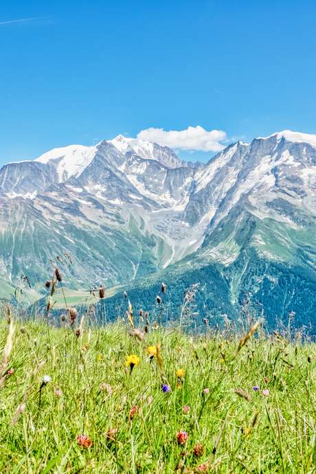Le Mont Joly depuis le Bettex