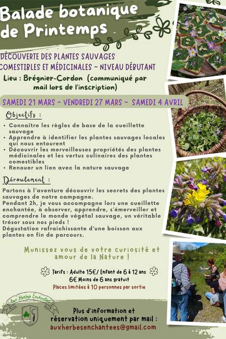 Spring botanical walk