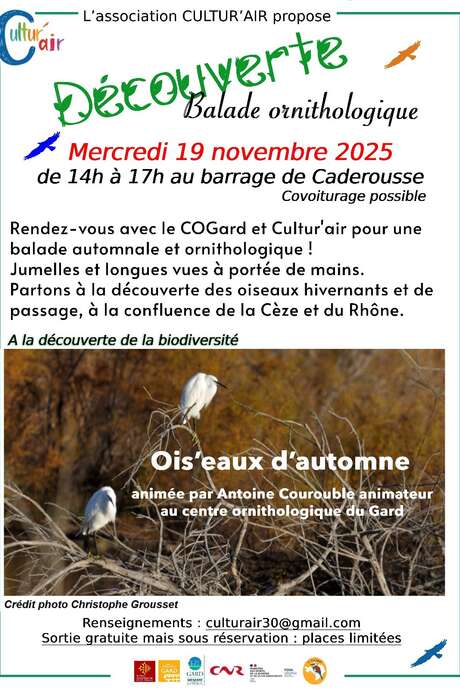 Balade ornithologique