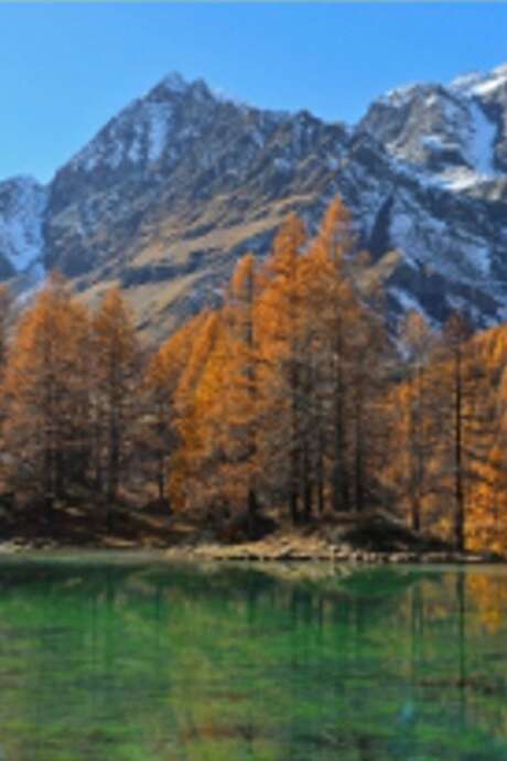 Exposition photos du club chasseurs d'images 35/8