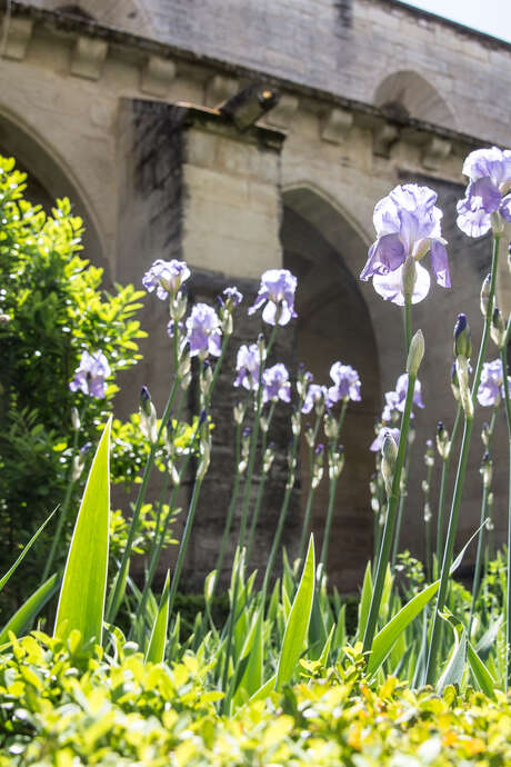 Dimanches aux jardins : création d'une carte en fleurs séchées