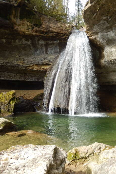 Balade guidée jusqu'à la cascade du Pain de Sucre