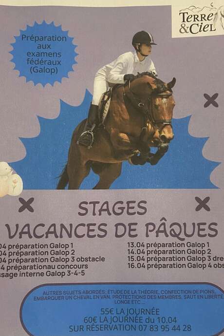 Easter holiday courses to prepare for federal exams - Terre et Ciel riding centre