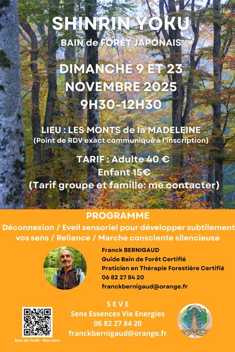 "Shinrin Yoku" bain de forêt Japonais