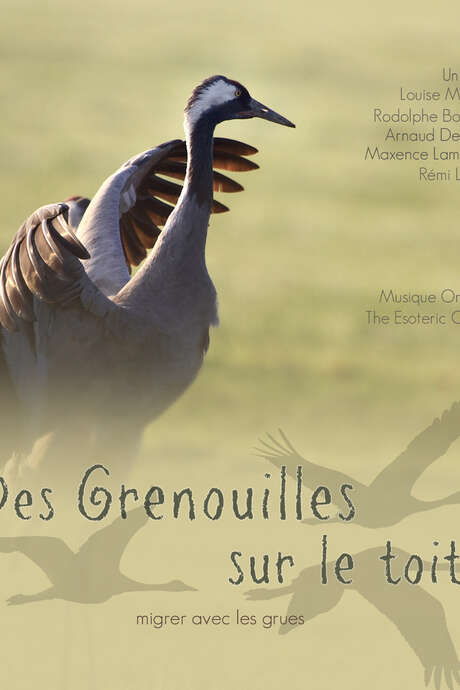 Film Conference: Documentary Frogs on the Roof, Migrating with the cranes