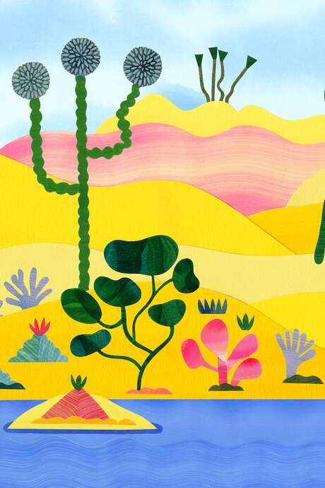 Cinéconte : La Naissance des Oasis