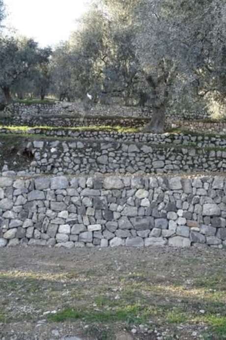 Chantier participatif murs en pierres sèches