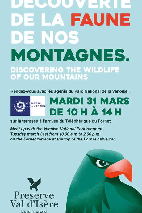 Découverte de la faune