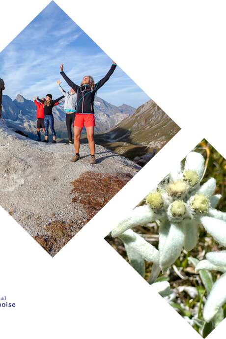 Balade "botanique passion et bien-être zen"