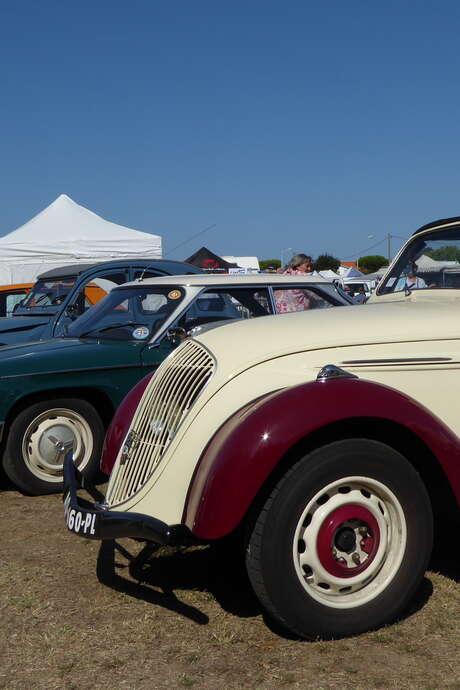 36. Austauschbörse für Autos, Motorräder und Roller