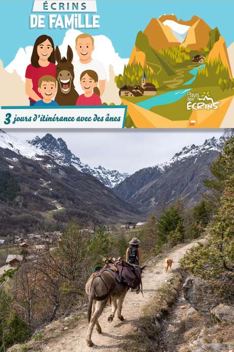 Aventure itinérante avec des ânes au cœur du pays des Ecrins