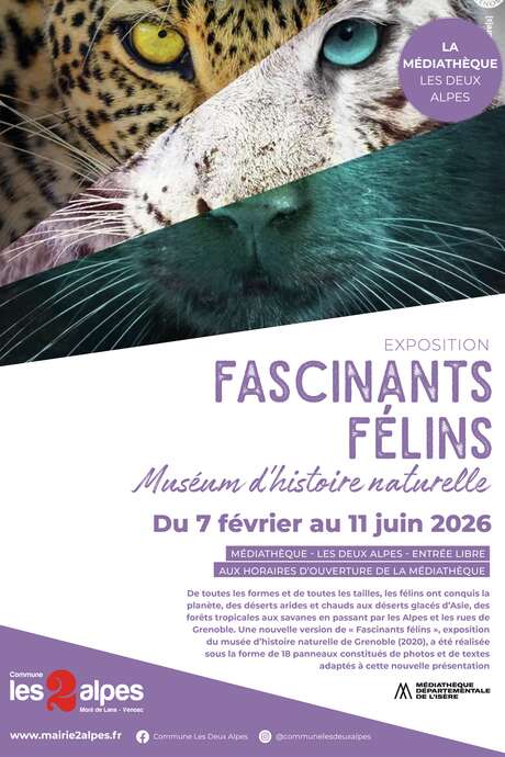 Exposition - Fascinants félins