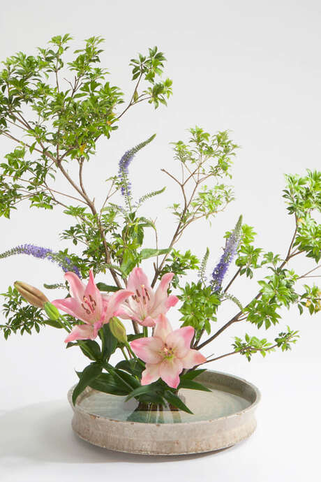 Atelier Ikebana avec Frédérique Guy