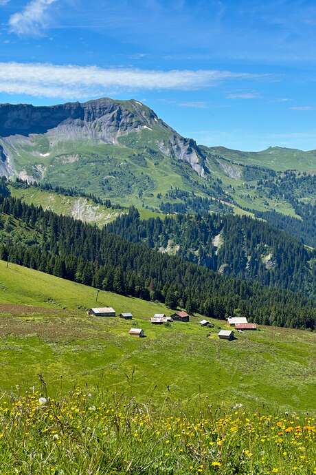 Les chalets d'Hermance au départ du Mont d'Arbois