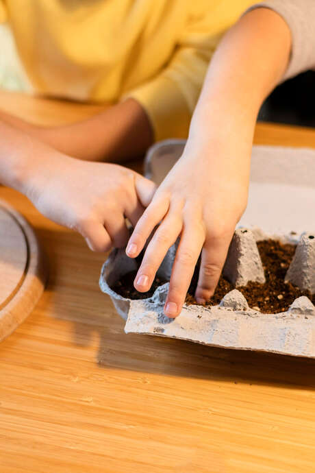 Atelier de jardinage : bombe à graine
