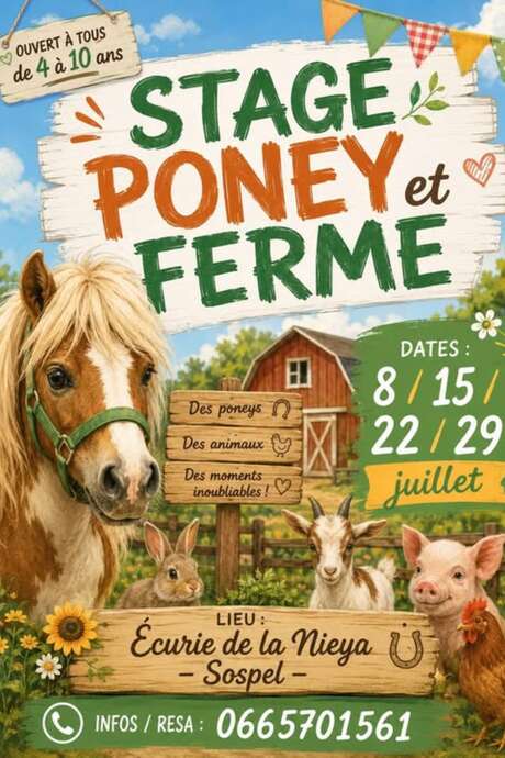 Stage poney et ferme