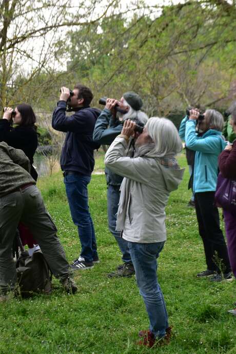 Balade ornithologique : focus sur les migrations
