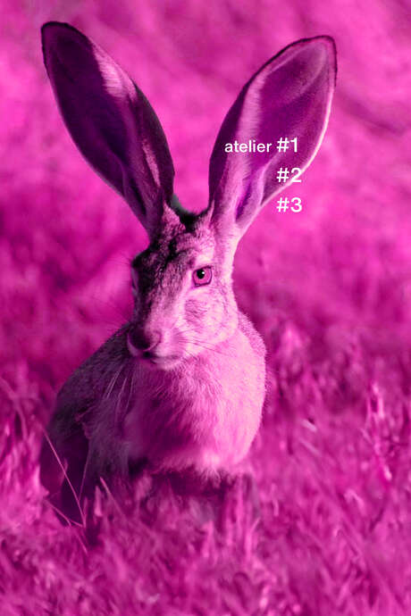 Atelier d'écoute musicale : Atelier tout ouïe