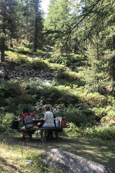Passeggiata nella natura con schizzi ad acquarello