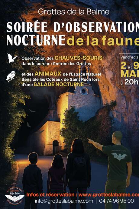 Soirée d'observation nocturne de la faune