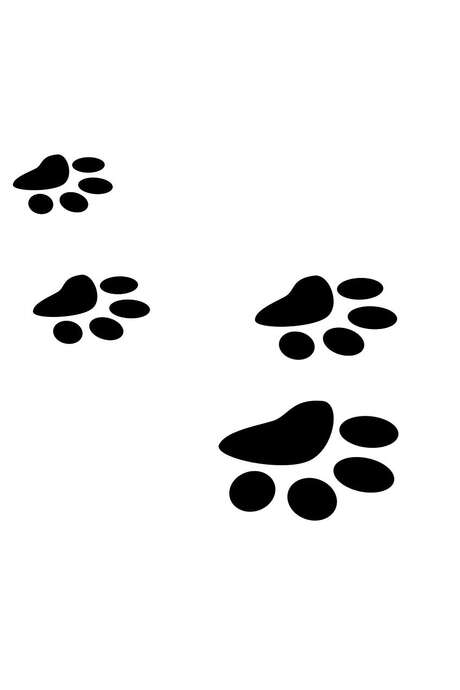 Goûter gourmand sur les traces des animaux