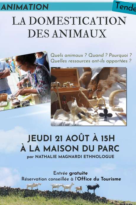 Atelier animé : pastoralisme et domestication