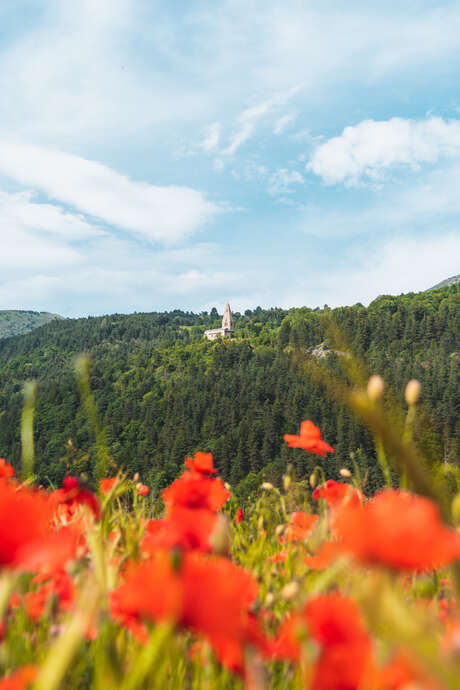 Festival Musique en Dévoluy fête ses 40 ans