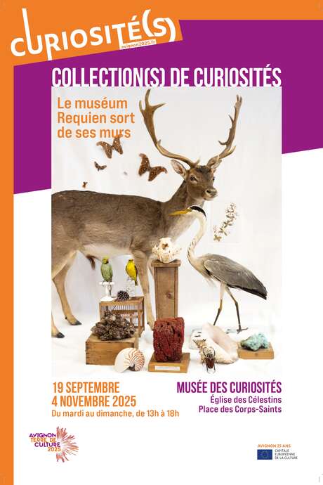 Colección(es) de curiosidades - el Museo Requien sale de sus muros