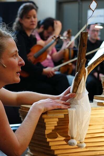 Monsieur Bois Monsieur Bois