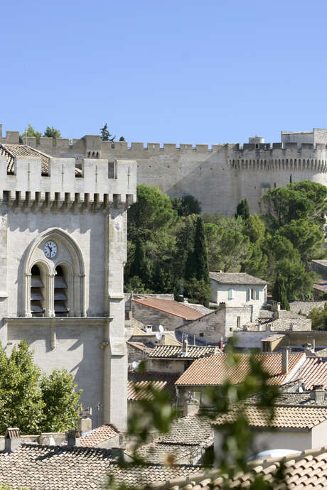Il était une fois Villeneuve lez Avignon : les femmes de Villeneuve, une histoire inspirante