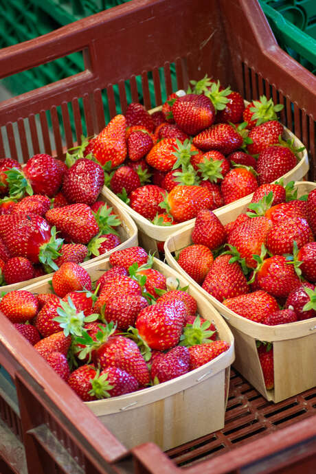 Marché à la ferme «Les Javonnes»