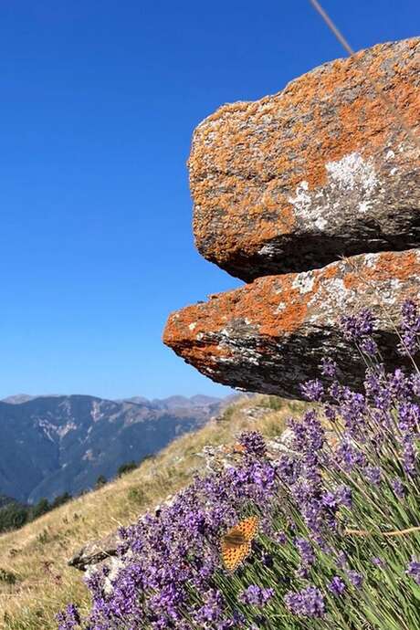 Balade découverte de la Ferme de Castel Tournou