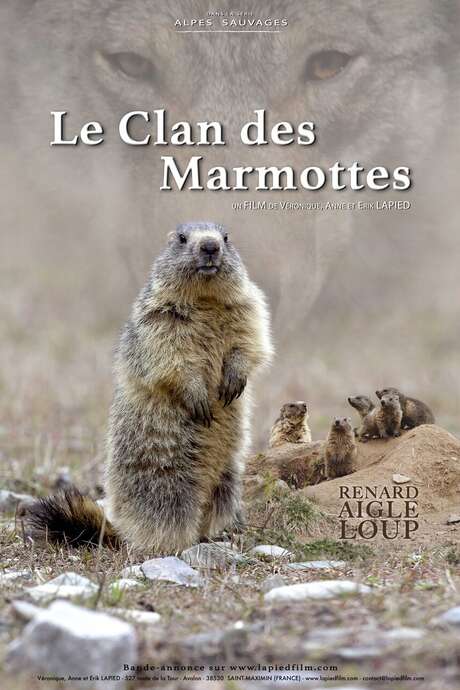 Cinéma de montagne - Films LAPIED