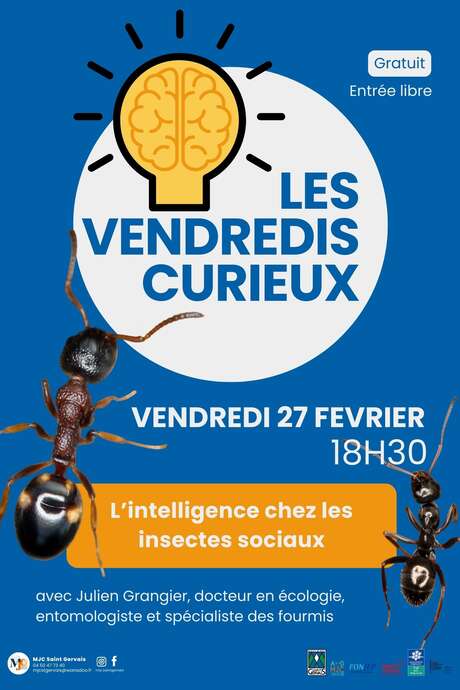 MJC - Curious Fridays