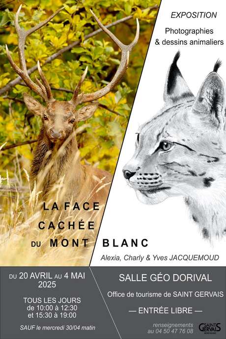 Exposition - La face cachée du Mont-Blanc
