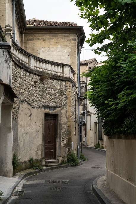 Cycle de visites "Avignon à travers l'Histoire"